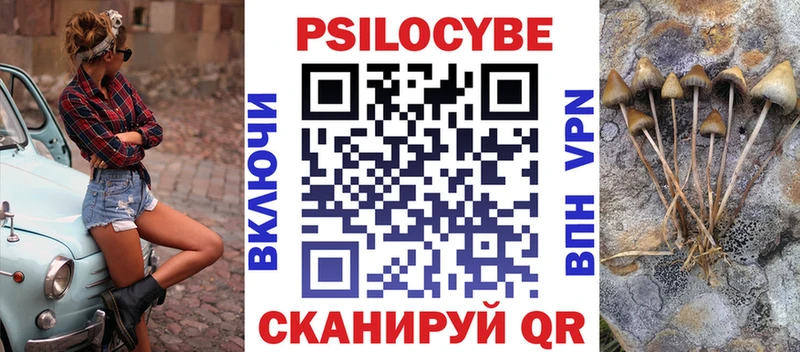 Купить где  Зубцов  Галлюциногенные грибы Cubensis 